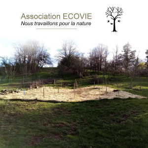 Vignette ECOVIE